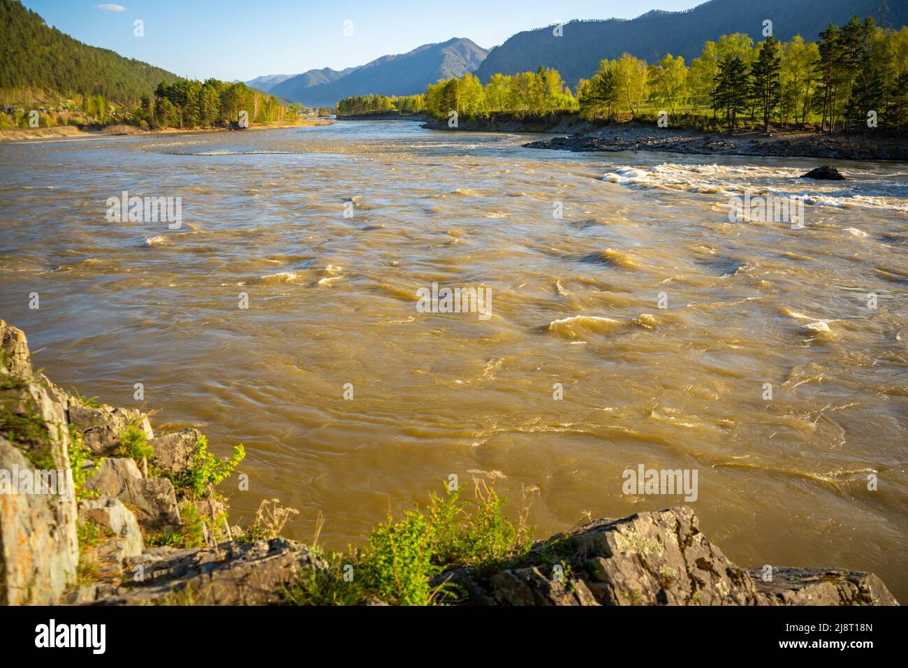 The Altay landscape with mountain river Katun and green rocks at spring time, Siberia, Altai Republic Stock Photo