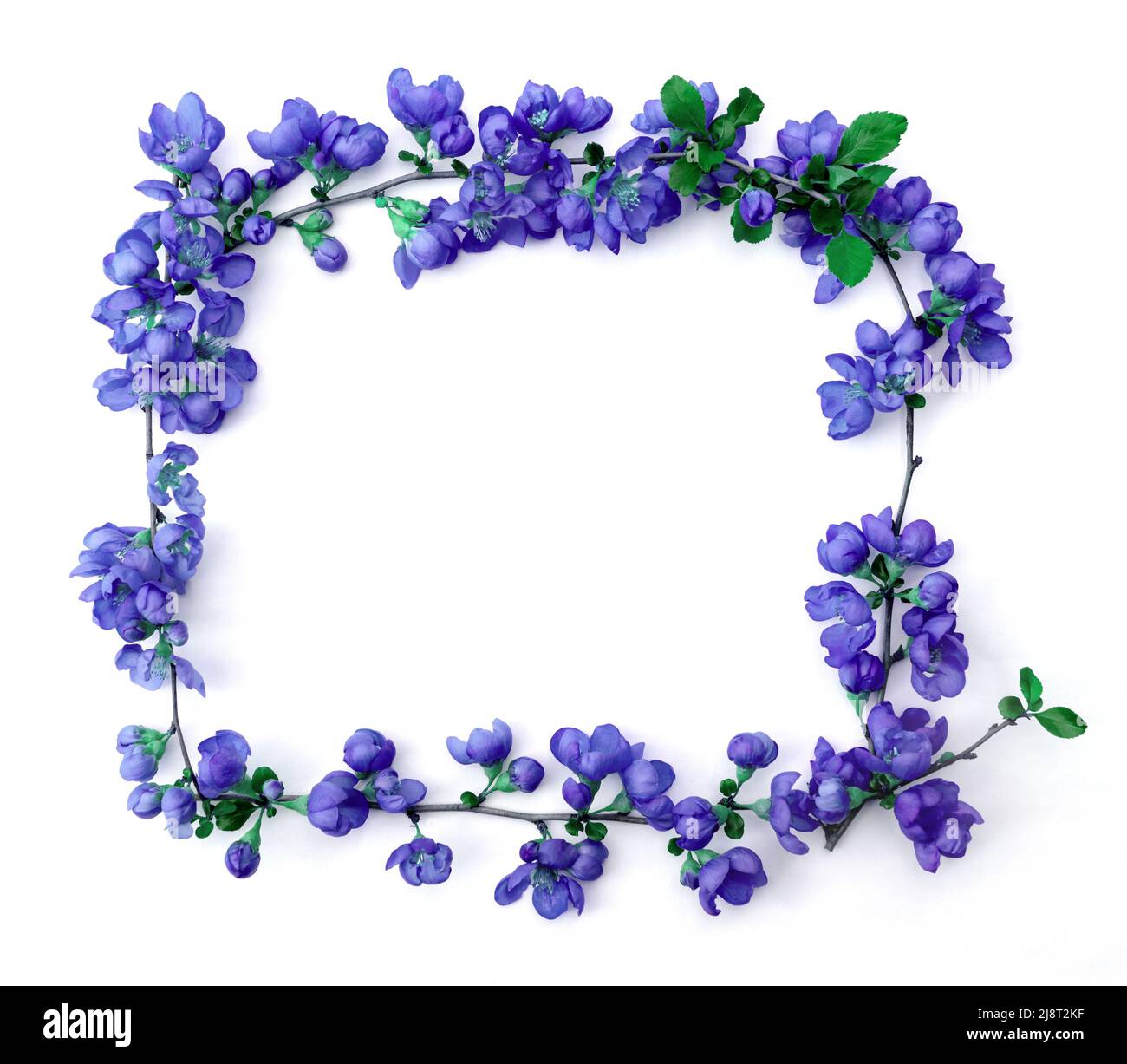 Delicate flower arrangement of twigs with bright large blue flowers