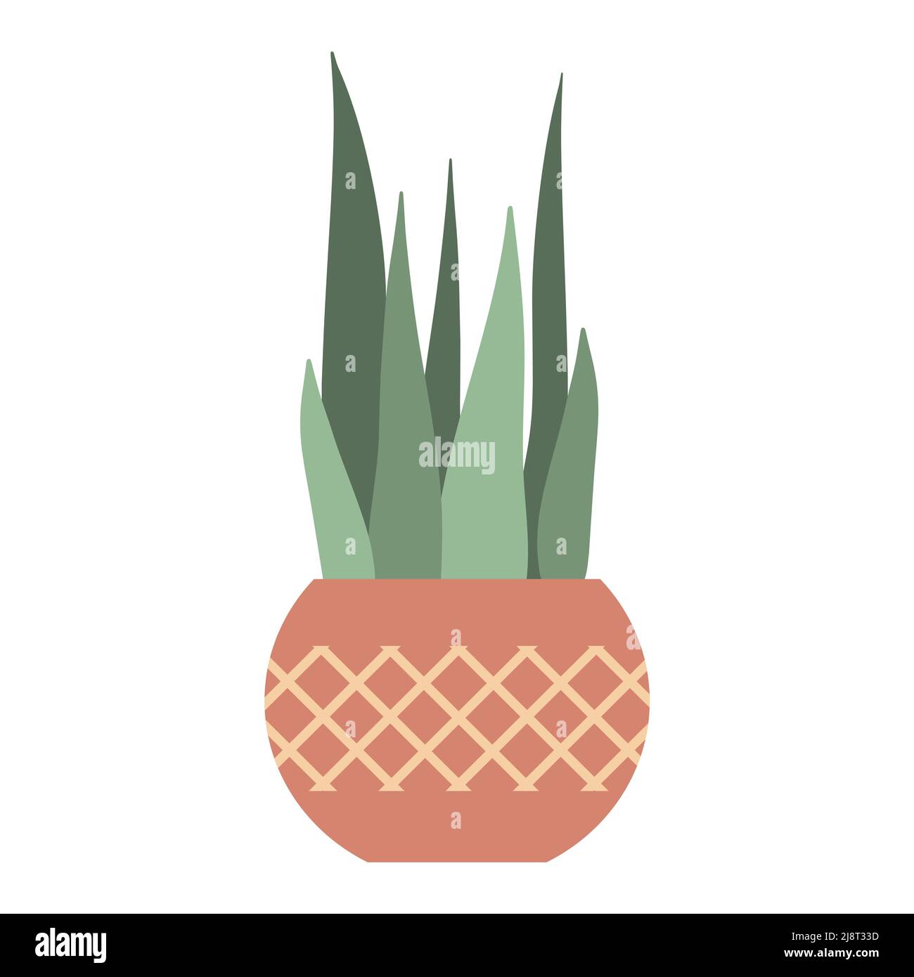Houseplant in clay pot with elongated long leaves Stock Vector