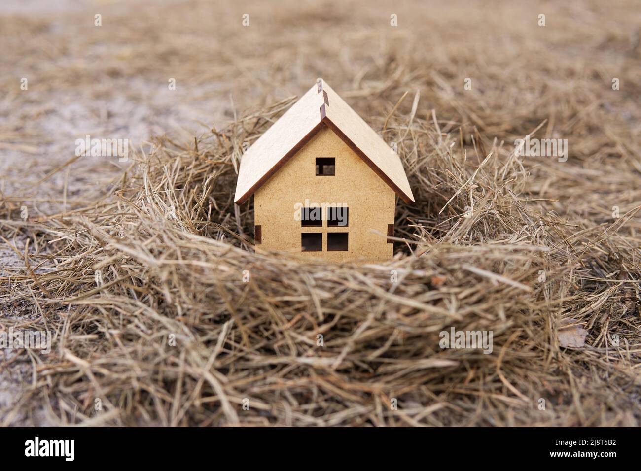 Miniature plywood toy house in a bird's nest. Cozy home concept Stock
