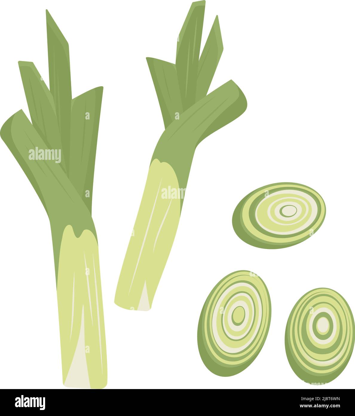 Green leek. Log vitamin food icon, dish preparation, root and sliced circles. Vector flat illustration Stock Vector