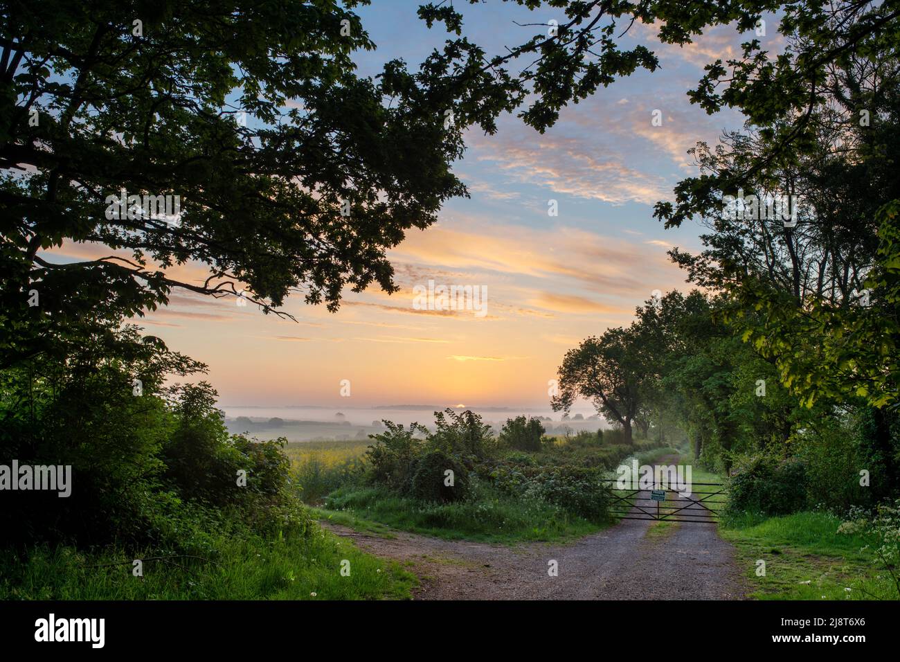 Misty sunrise over farmland in the oxfordshire countryside in spring. Adderbury, Oxfordshire, UK Stock Photo