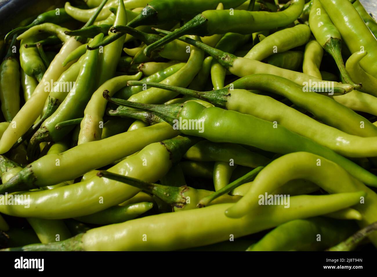 Fresh organic Green chillies many in stack. Green vegetables in light ...