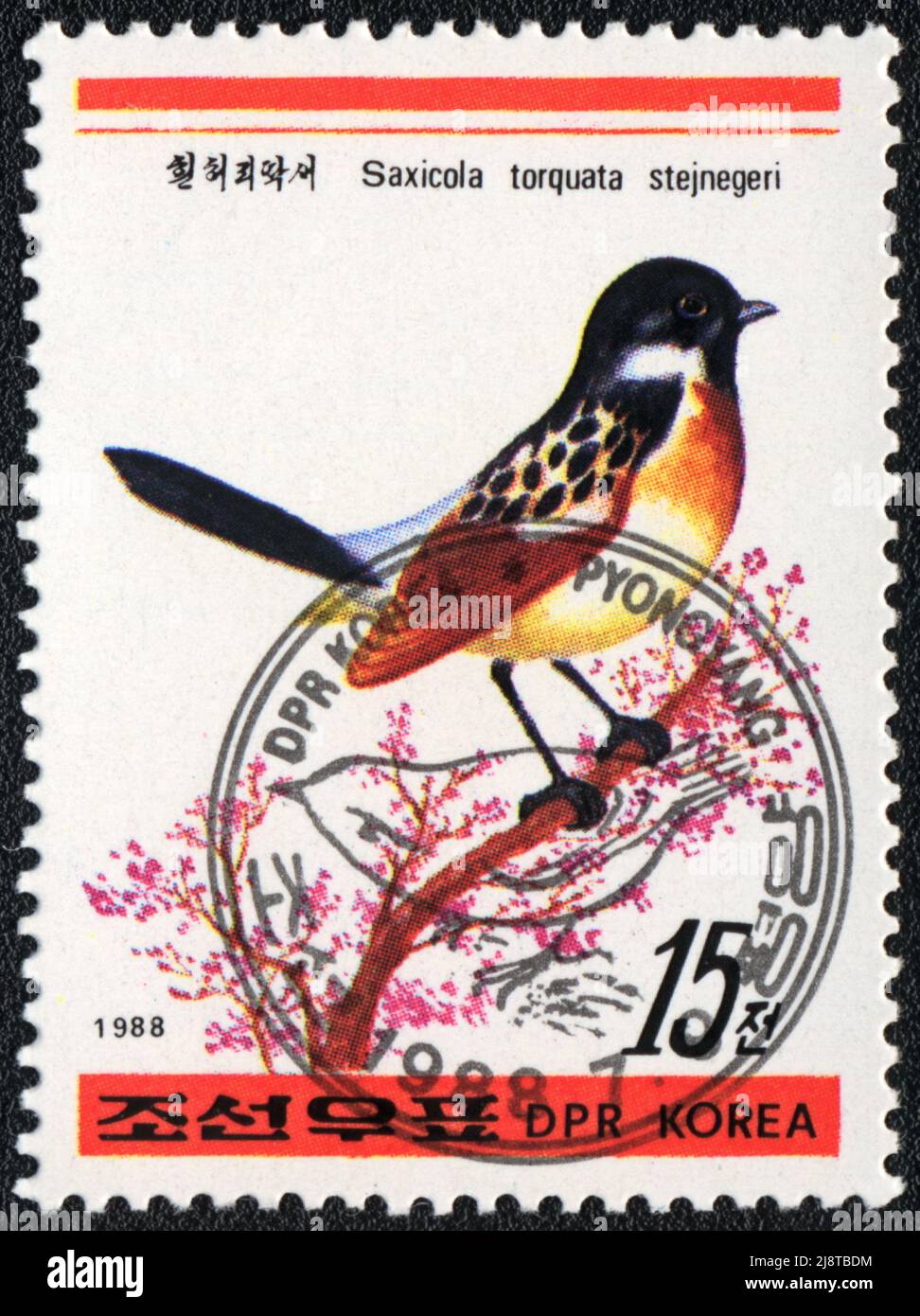A stamp printed in DPR KOREA shows  Stejneger's Stonechat (Saxicola torquata stejnegeri), from series Birds,  1988 Stock Photo