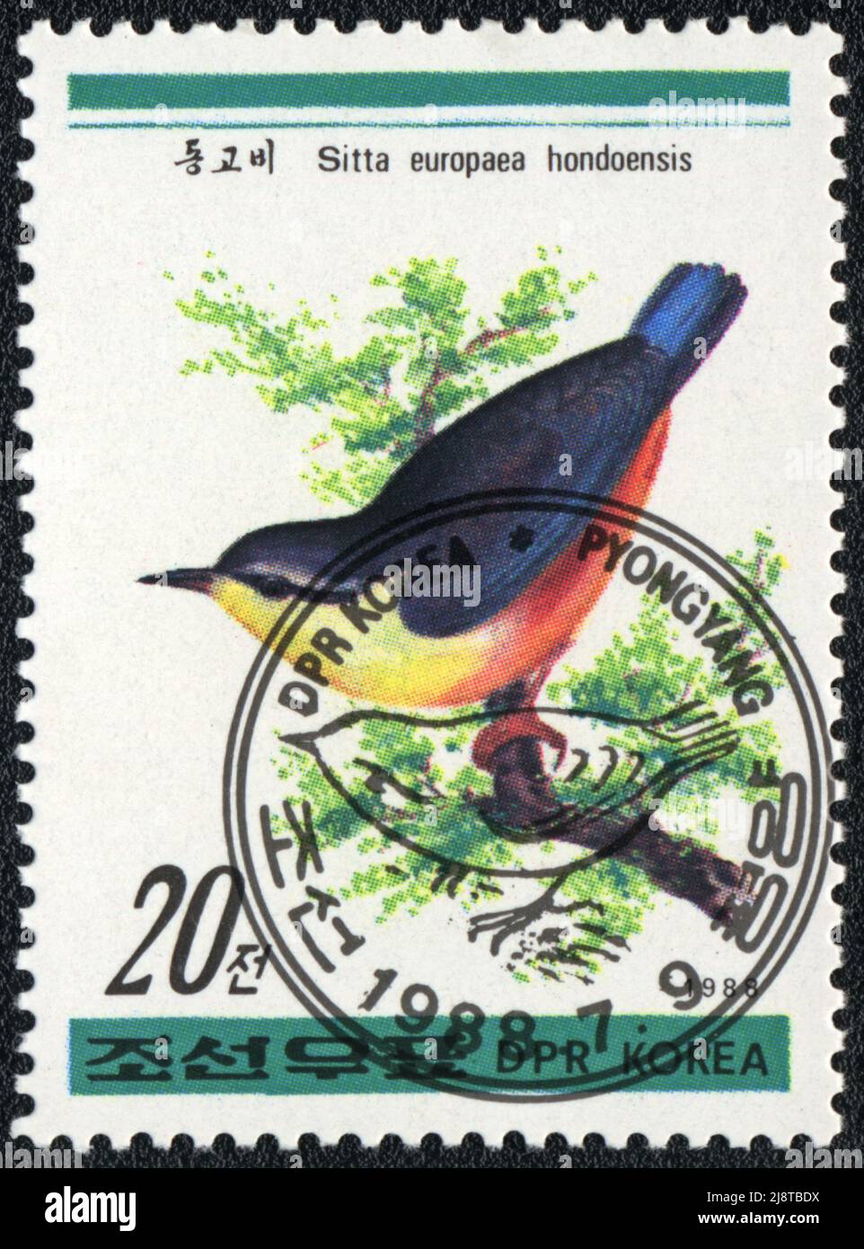 A stamp printed in DPR KOREA shows Eurasian Nuthatch (Sitta europaea hondoensis), from series Birds, 1988 Stock Photo