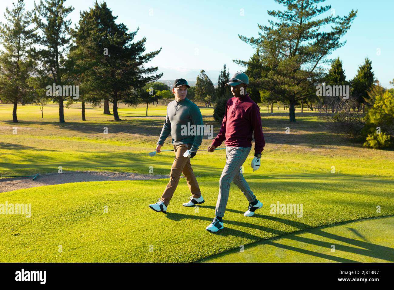 Multiracial young male friends with golf clubs walking on grassy land against trees at golf course Stock Photo