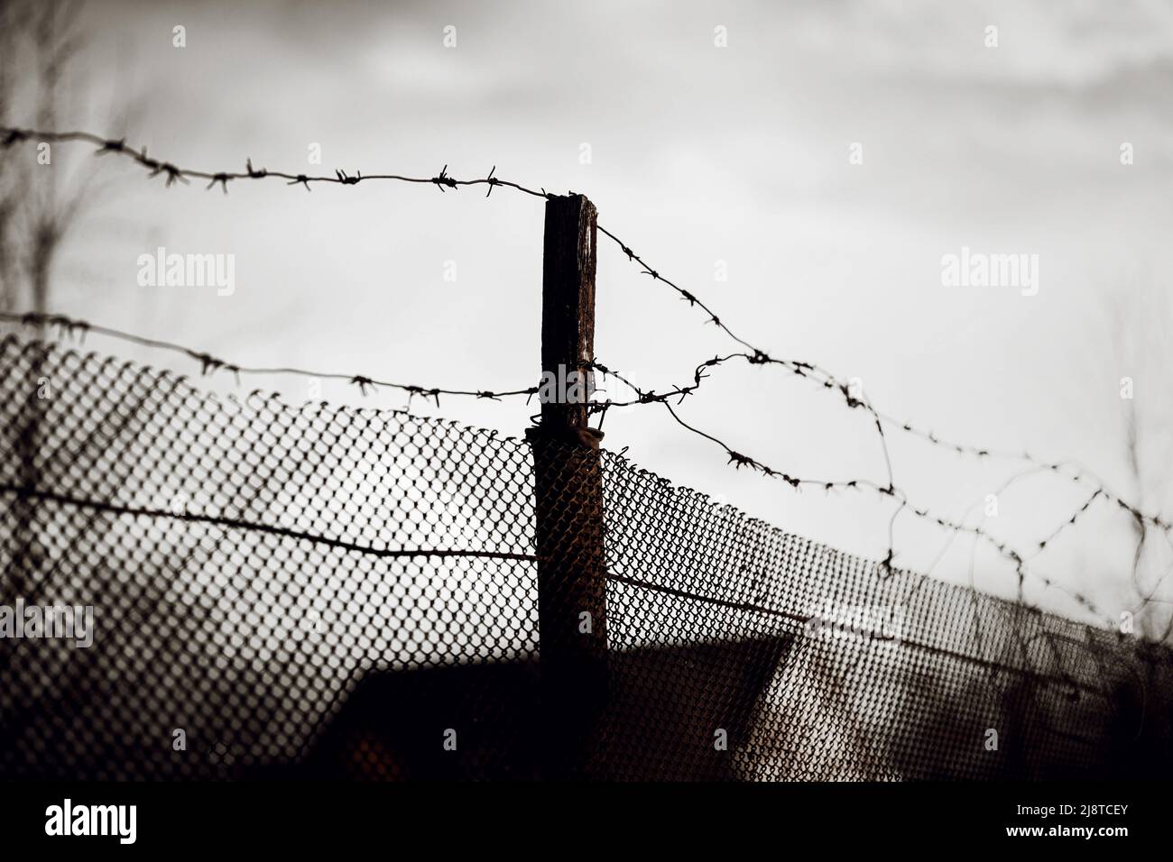 An old mesh fence with barbed wire wound on top in cloudy sad weather. Prison and war. Stock Photo