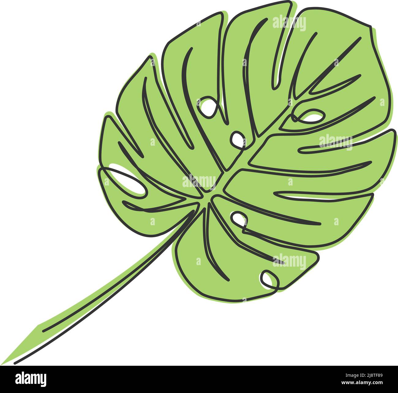 single line drawing of monstera leaf, line art vector illustration Stock Vector