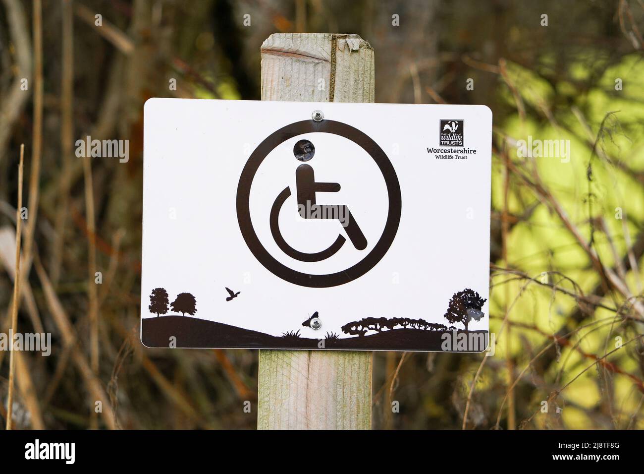 Disabled parking sign on post outdoors at a Worcestershire Wildlife Trust nature reserve, UK. Stock Photo