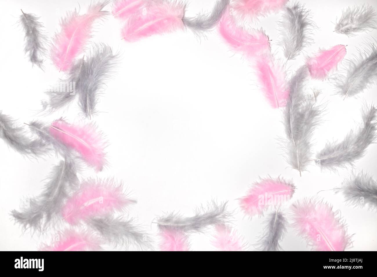 Natural colored in pink and gray feathers, frame flat lay on white Stock Photo
