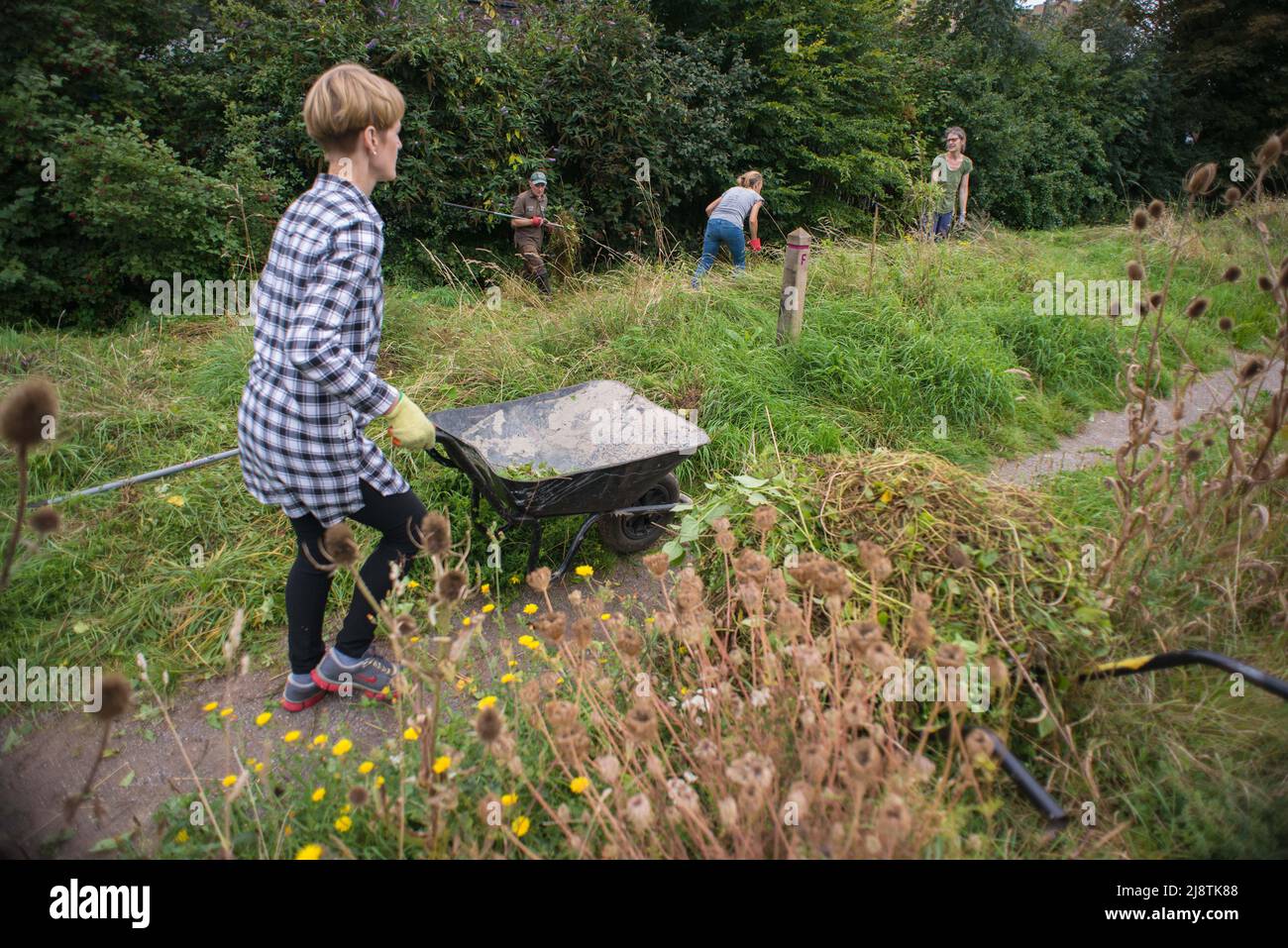 London, 23/08/2017: volunteers of 'The Friends of Tower Hamlets Cemetery Park' cleaning the area. © Andrea Sabbadini Stock Photo