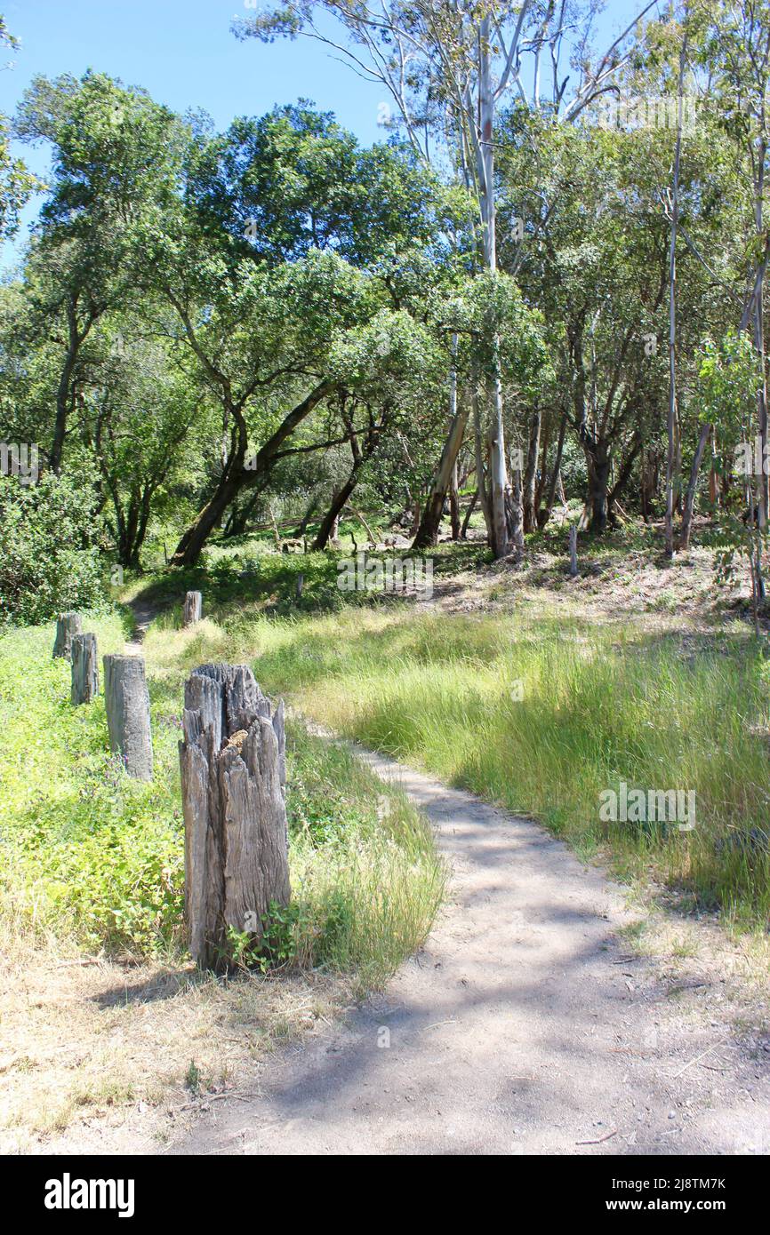 Jack London State HIstoric Park, California Stock Photo