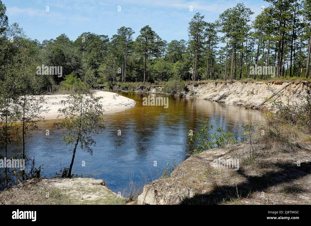 Blackwater River State Park, scene, nature; pristine; curving stream