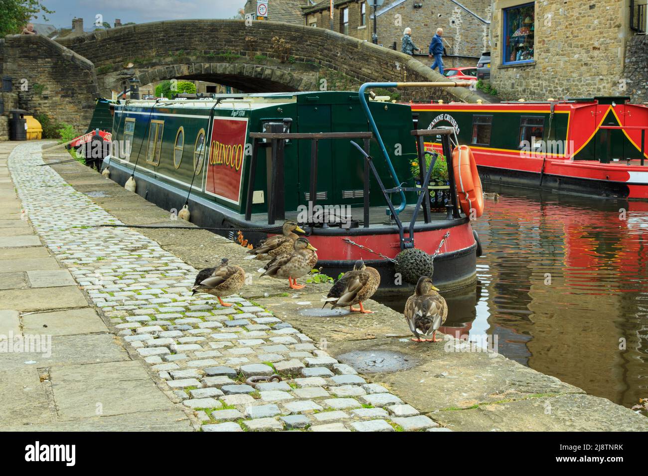 Two Pennine Cruiser Barges and Mallard Ducks on the Leeds and Liverpool Canal Towpath near Skipton Bridge, Skipton, North Yorkshire, UK Stock Photo