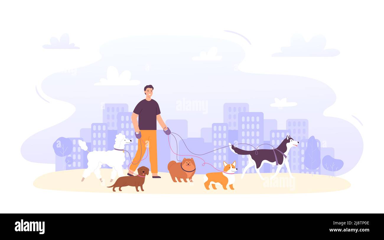 Dog sitter job outdoor. Male character with group of dogs on leash of different breeds in city. Pet care service Stock Vector