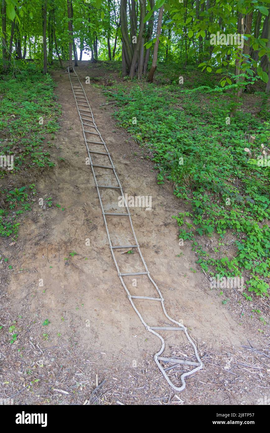 Long Rope Ladder at Hill in Wood Climbing Support Stock Photo - Alamy