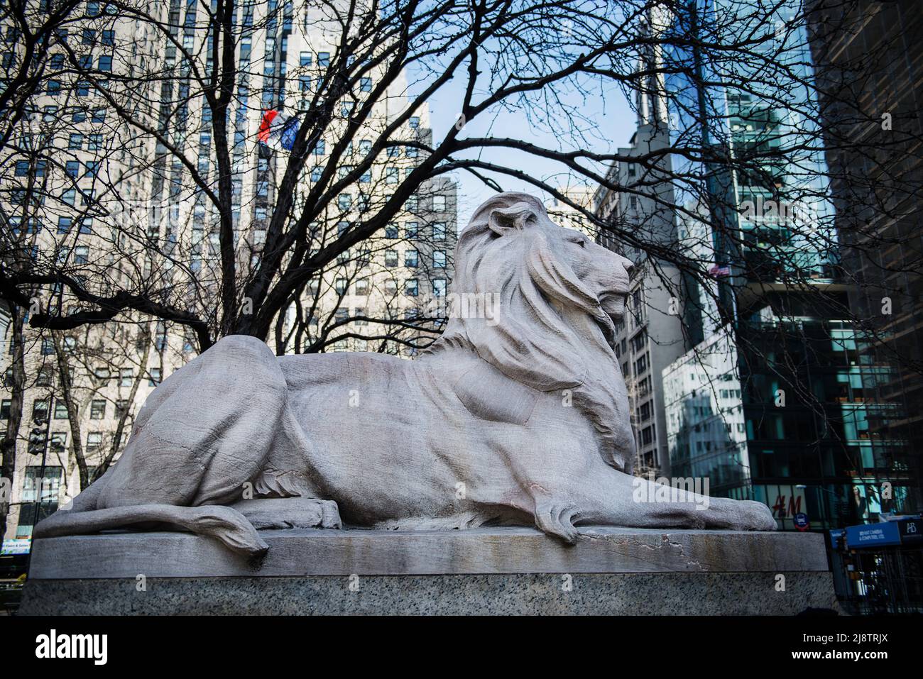 Lion statue outside the New York public Library Stock Photo Alamy