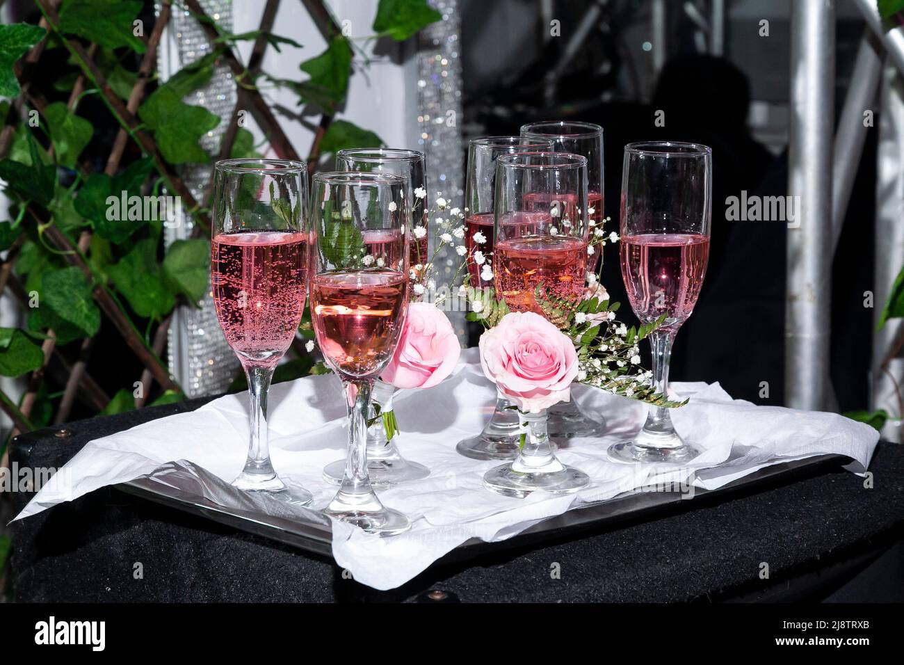 Social Events Tray With Glasses Served With Champagne Stock Photo Alamy