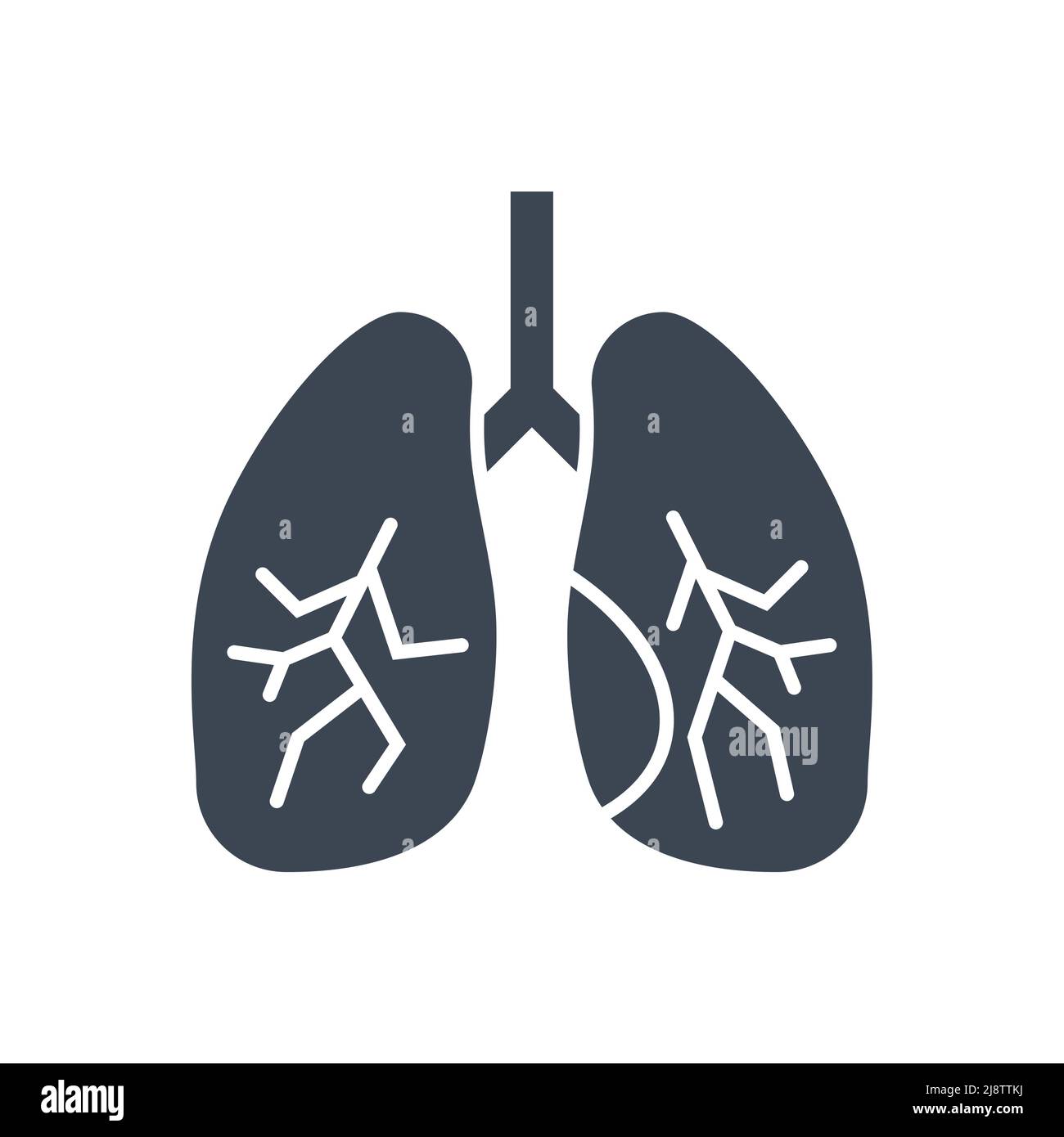 Lungs related vector glyph icon. Lungs sign. Isolated on white background. Editable vector illustration Stock Vector