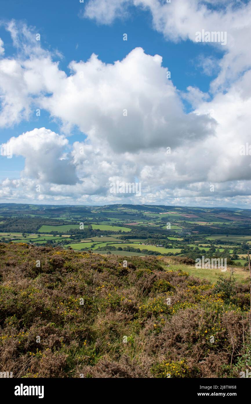 Quantock Hills… Triscombe Stone Great Hill cairn (Views are looking due West) Stock Photo