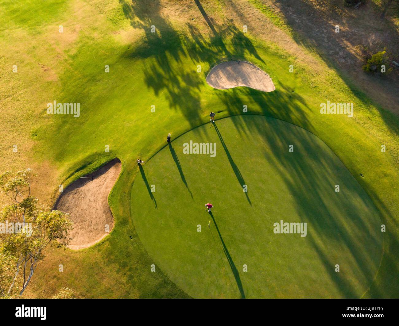 Drone shot of young male multiracial friends playing golf on grassy land at golf course at sunset Stock Photo