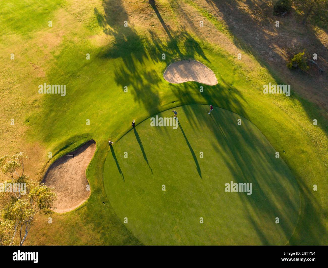 Drone shot of multiracial young male friends playing golf on grassy land at golf course at sunset Stock Photo