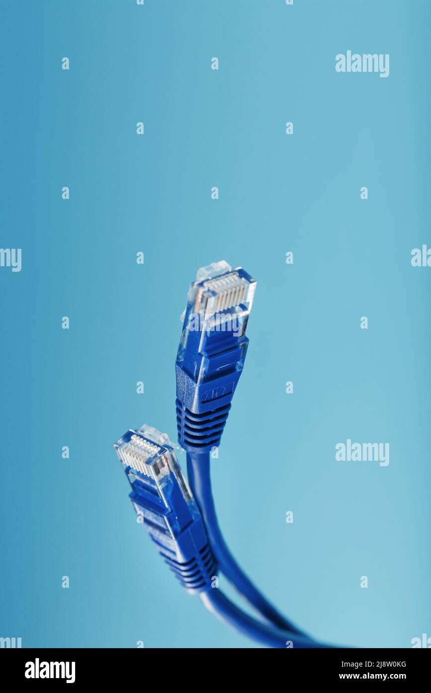 Blue Ethernet Cable Connectors Patch cord cord close-up isolated on a blue background with free space Stock Photo