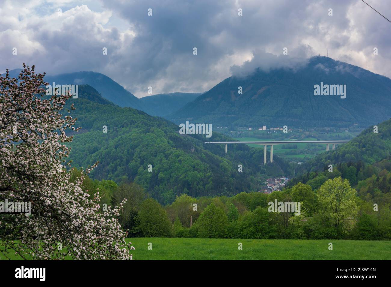 Schottwien: freeway bridge of S6 Talübergang Schottwien, mountain Sonnwendstein, church Maria Schutz, blossoming tree in Wiener Alpen, Alps, Niederöst Stock Photo