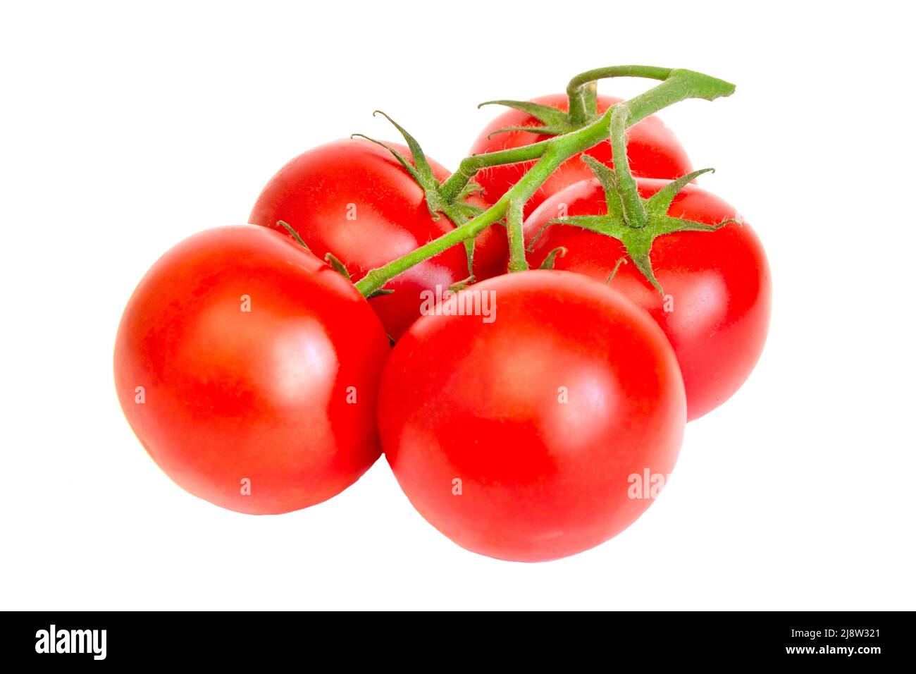 Tomato. Tomato branch. Tomatoes isolated on a white. With clipping path. Full depth of field. Stock Photo