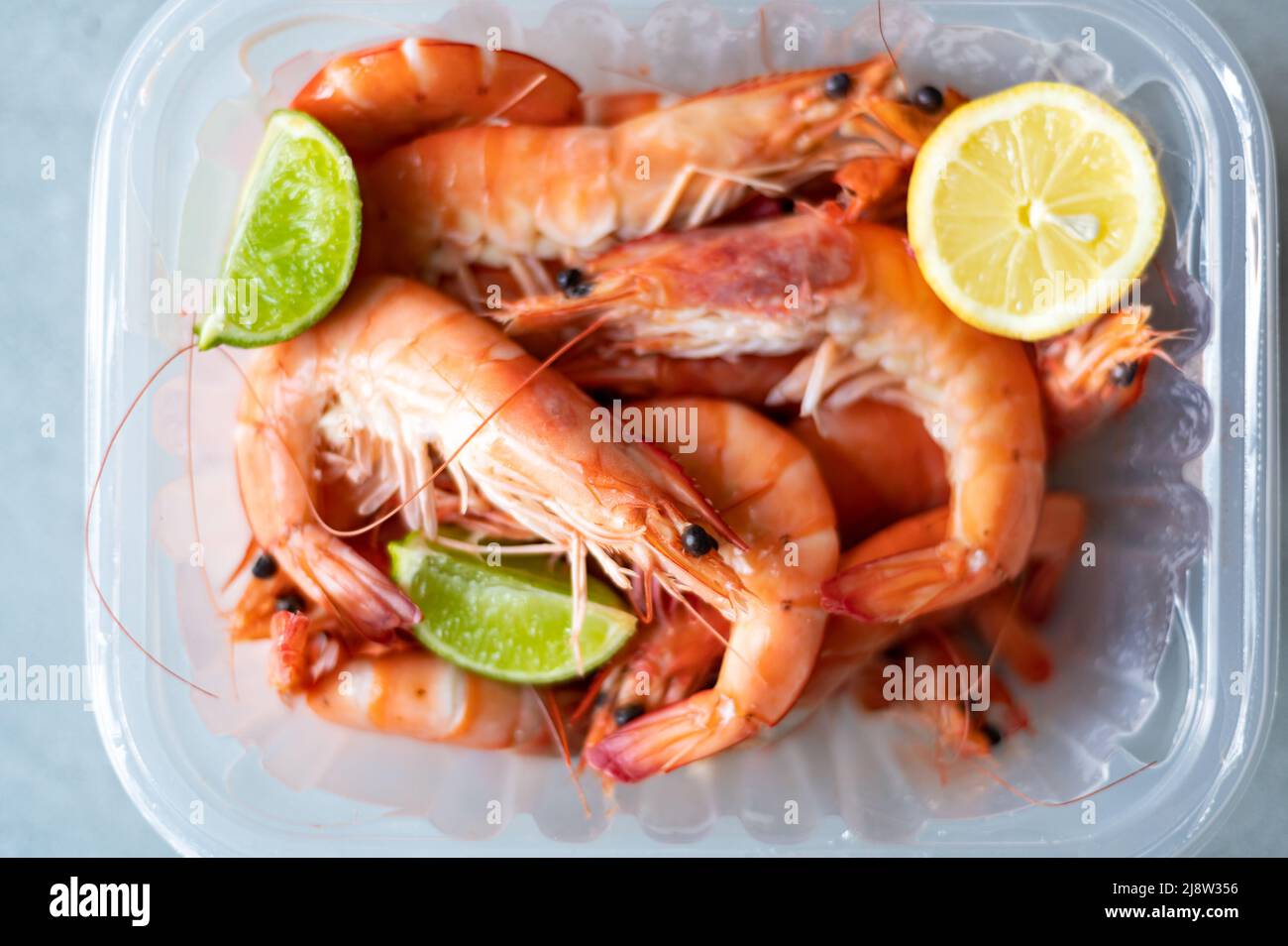 ocean king prawns or jumbo shrimps Stock Photo Alamy
