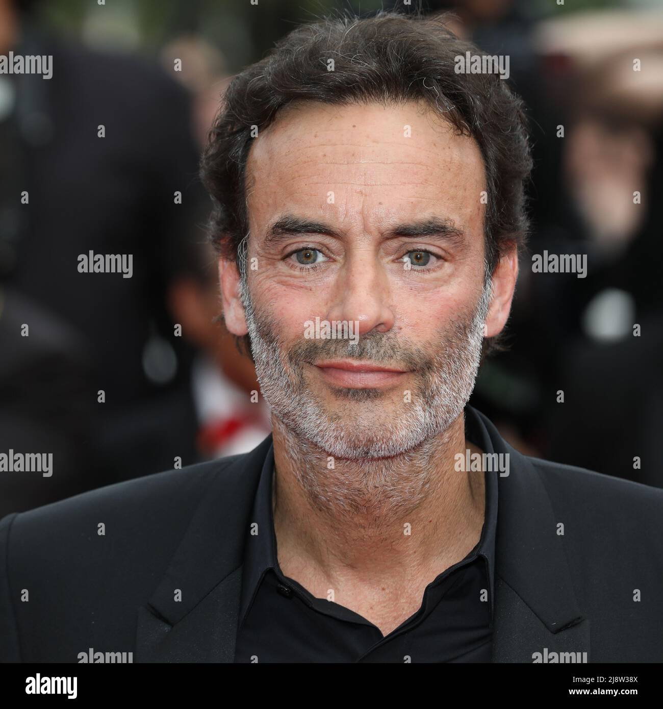 Actor Anthony Delon