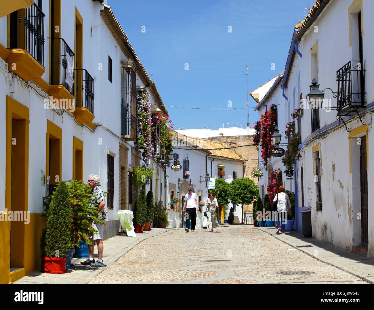 Stone-paved streets of old Cordoba during the Patio festival, with potted plants and flowers adorning houses. Stock Photo