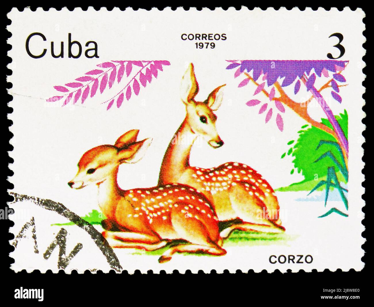 MOSCOW, RUSSIA - MAY 14, 2022: Postage stamp printed in Cuba shows Roe Deer (Capreolus capreolus), Zoo Animals serie, circa 1979 Stock Photo