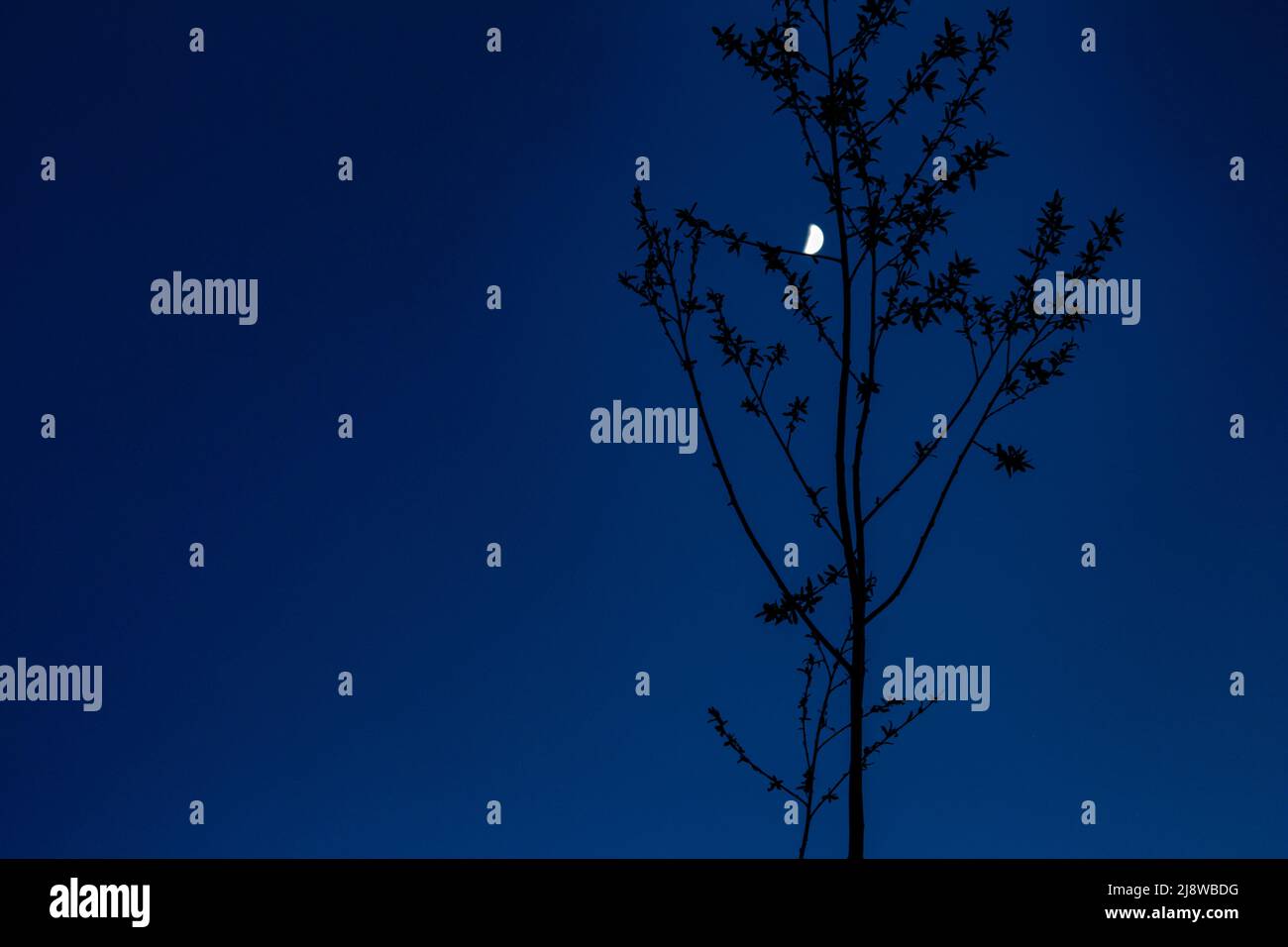 Zoomed in photos of the moon taken from Bures Hamlet in the UK Stock