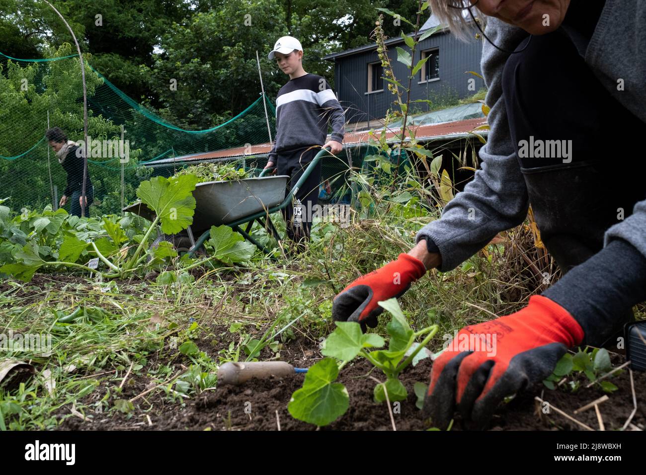 The Citizen S Movement Of The Shared Gardens Proposes To The Inhabitants To Produce Themselves Fruits And Vegetables In Urban Agriculture The Objective Is Not Only Productive But Also Has A Real Social The Citizen S Movement Of The Shared Gardens Proposes To The Inhabitants To Produce Themselves Fruits And Vegetables In Urban Agriculture The Objective Is Not Only Productive But Also Has A Real Social