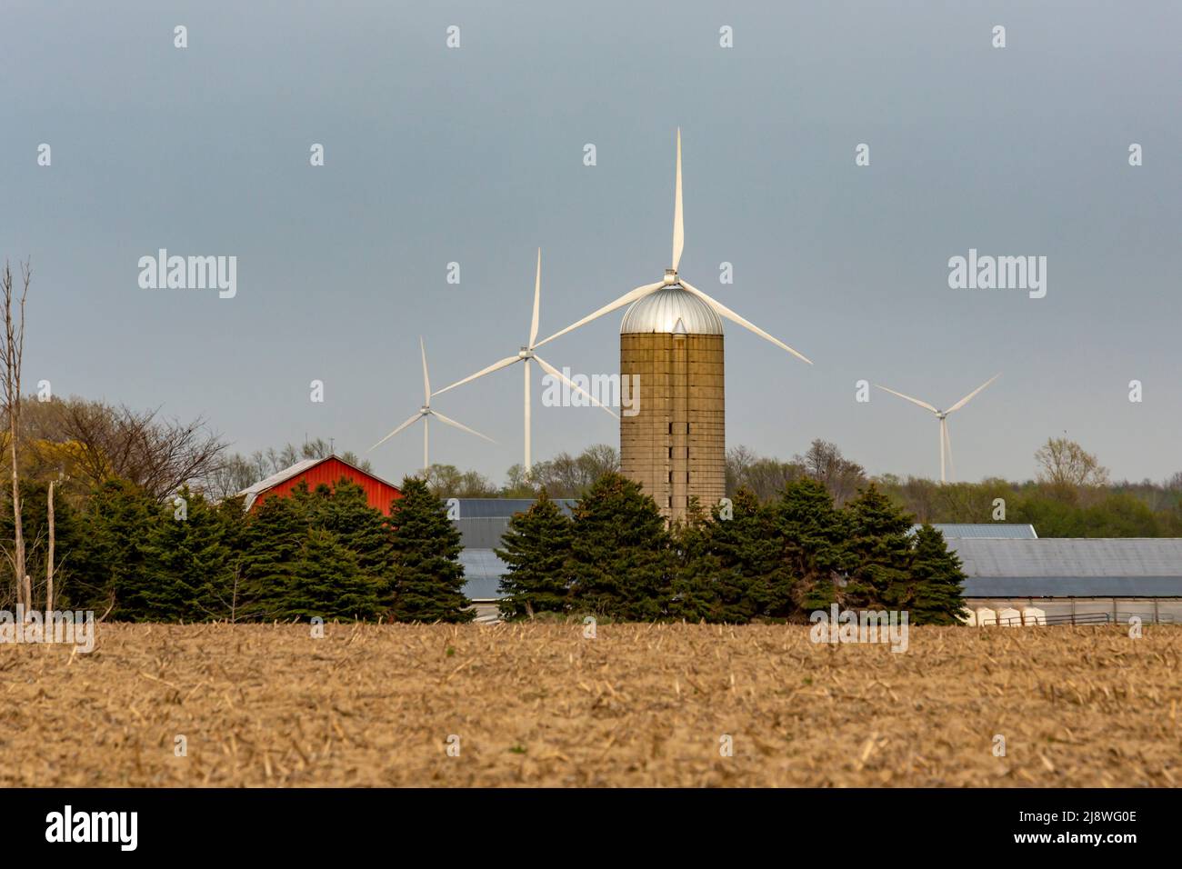 Port Austin, Michigan - Wind turbines, part of the Deerfield wind farm, on farm land in the Thumb of Michigan. Stock Photo
