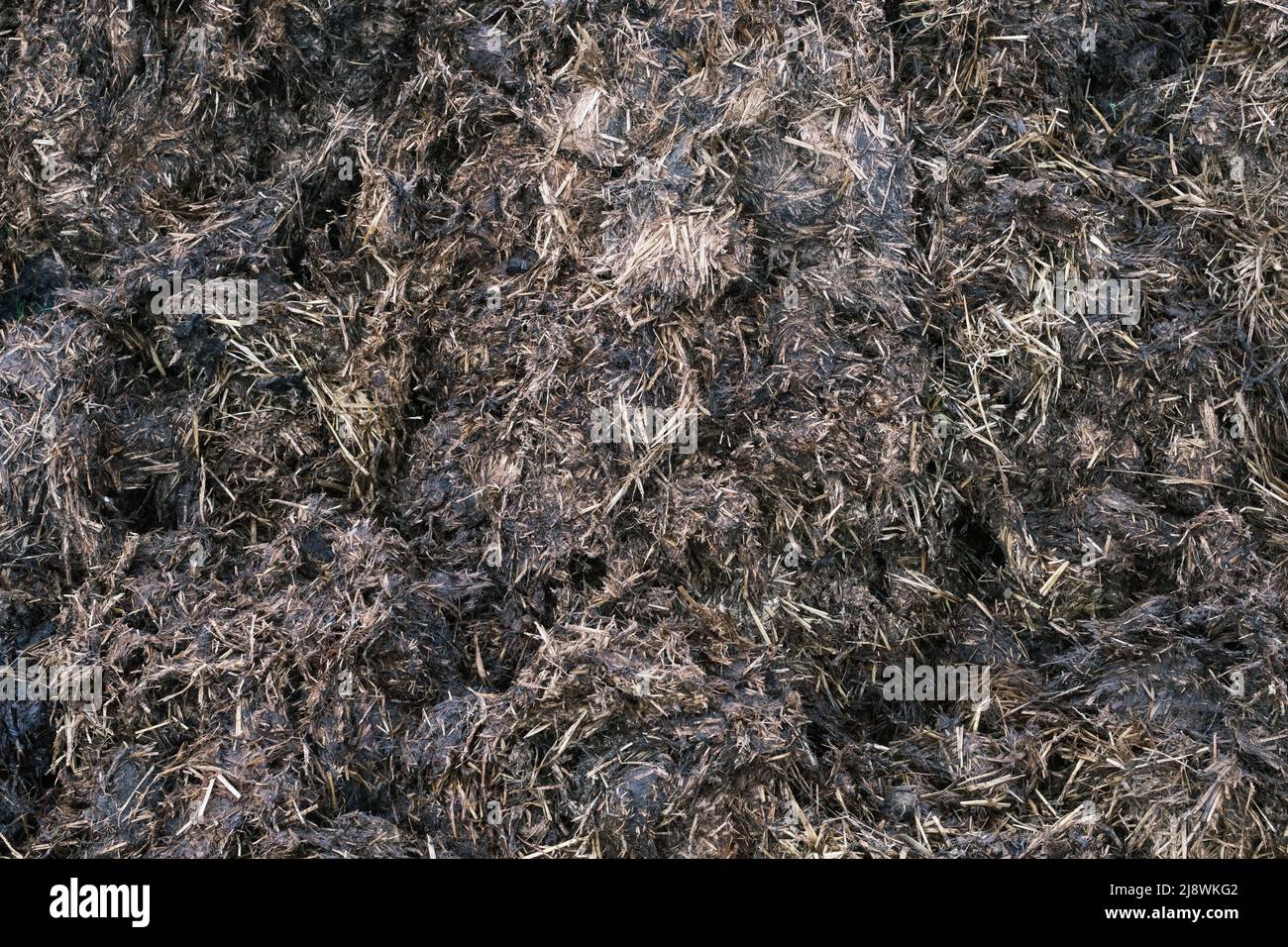 Abstract Background Texture Of Agricultural Manure Stock Photo