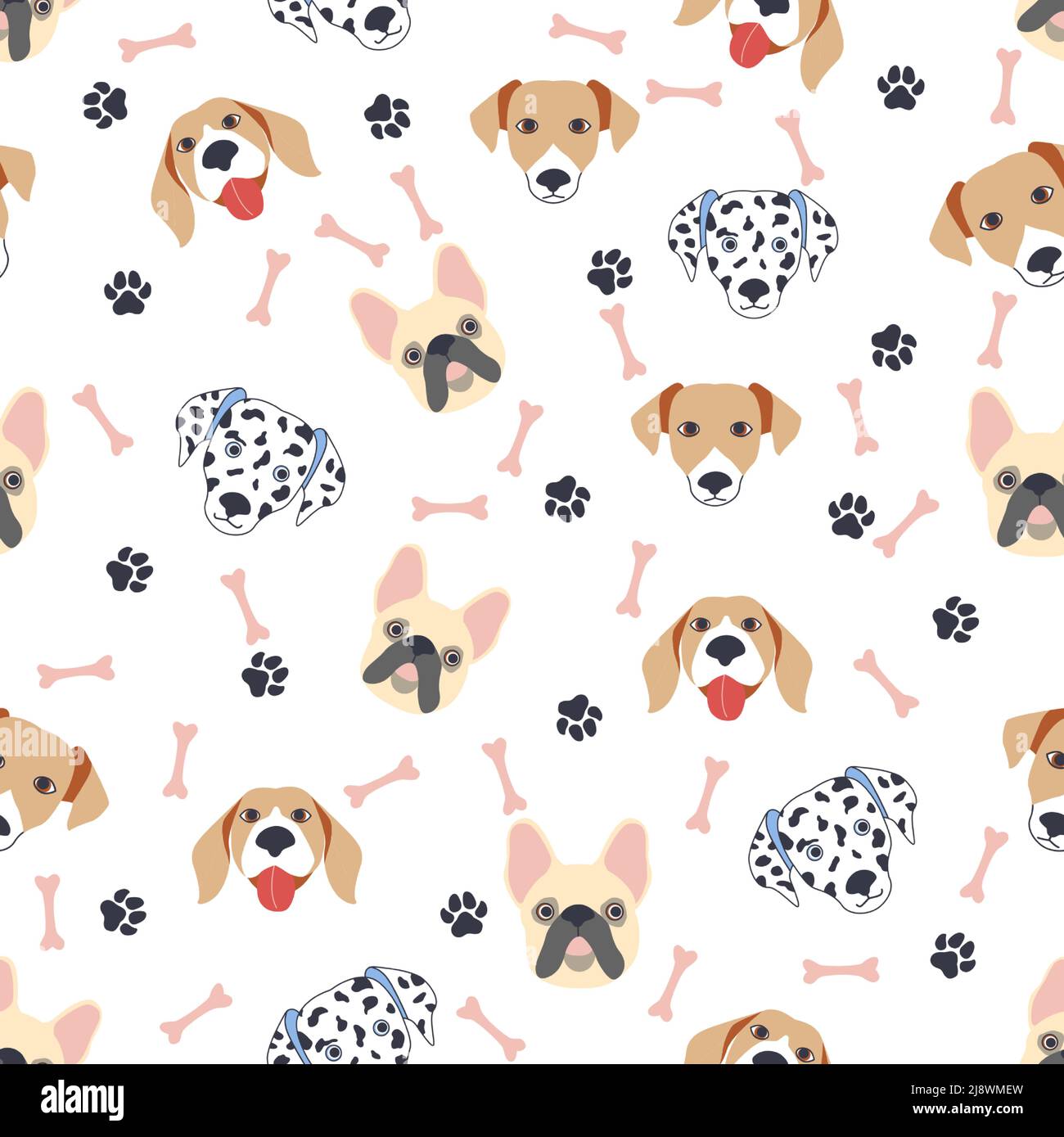 chihuahua-jack-russell-stock-vector-images-alamy
