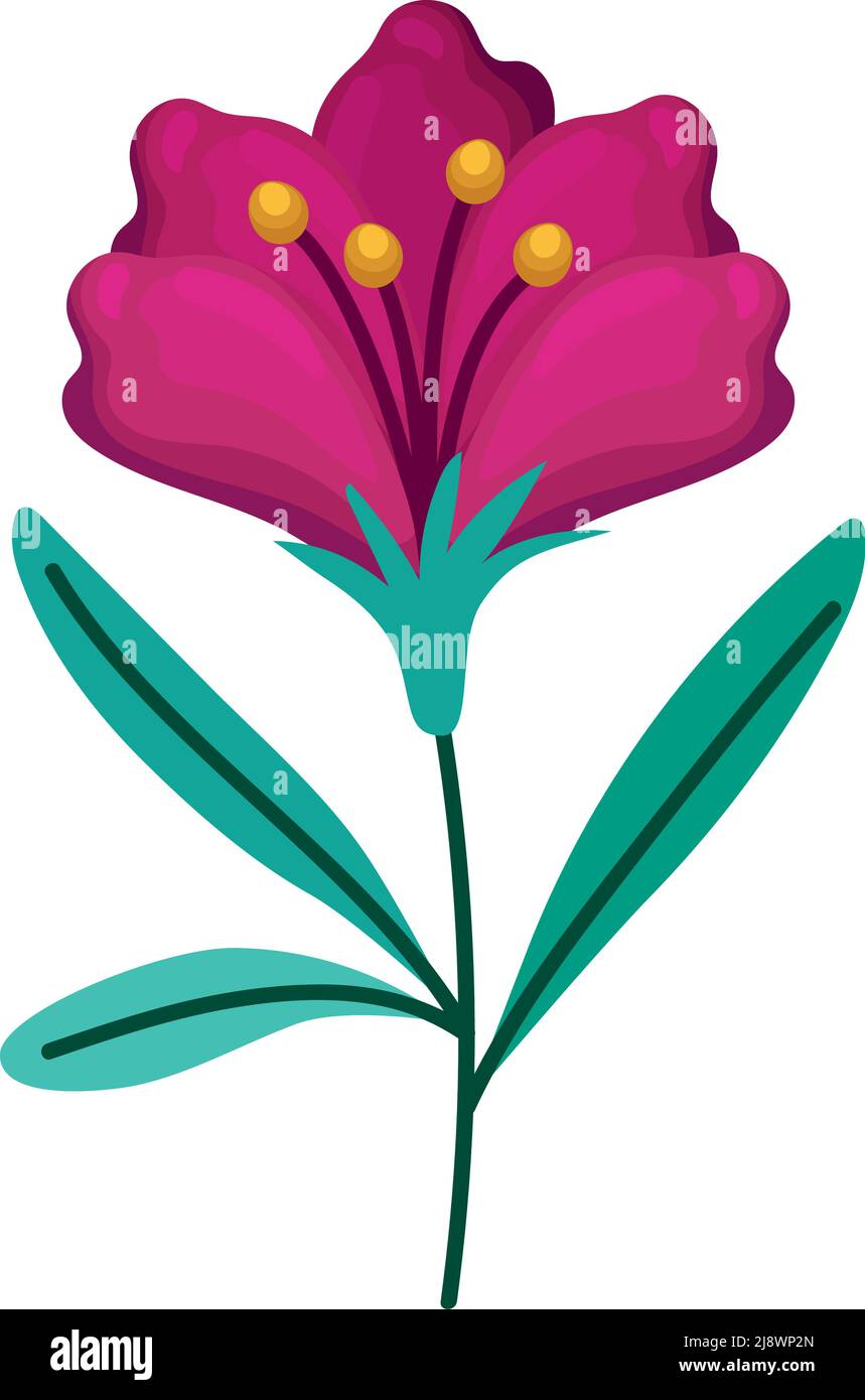 Pink Bloom Design pink flower design Stock Vector Image & Art - Alamy