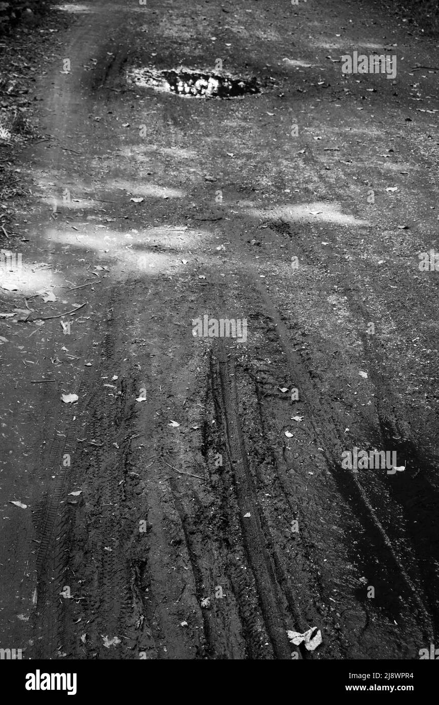 Black and White shot of bike tracks and mud Stock Photo