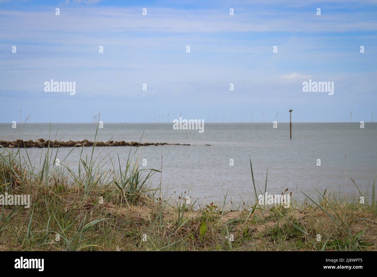 Grass by the sea - seaside grasses Stock Photo