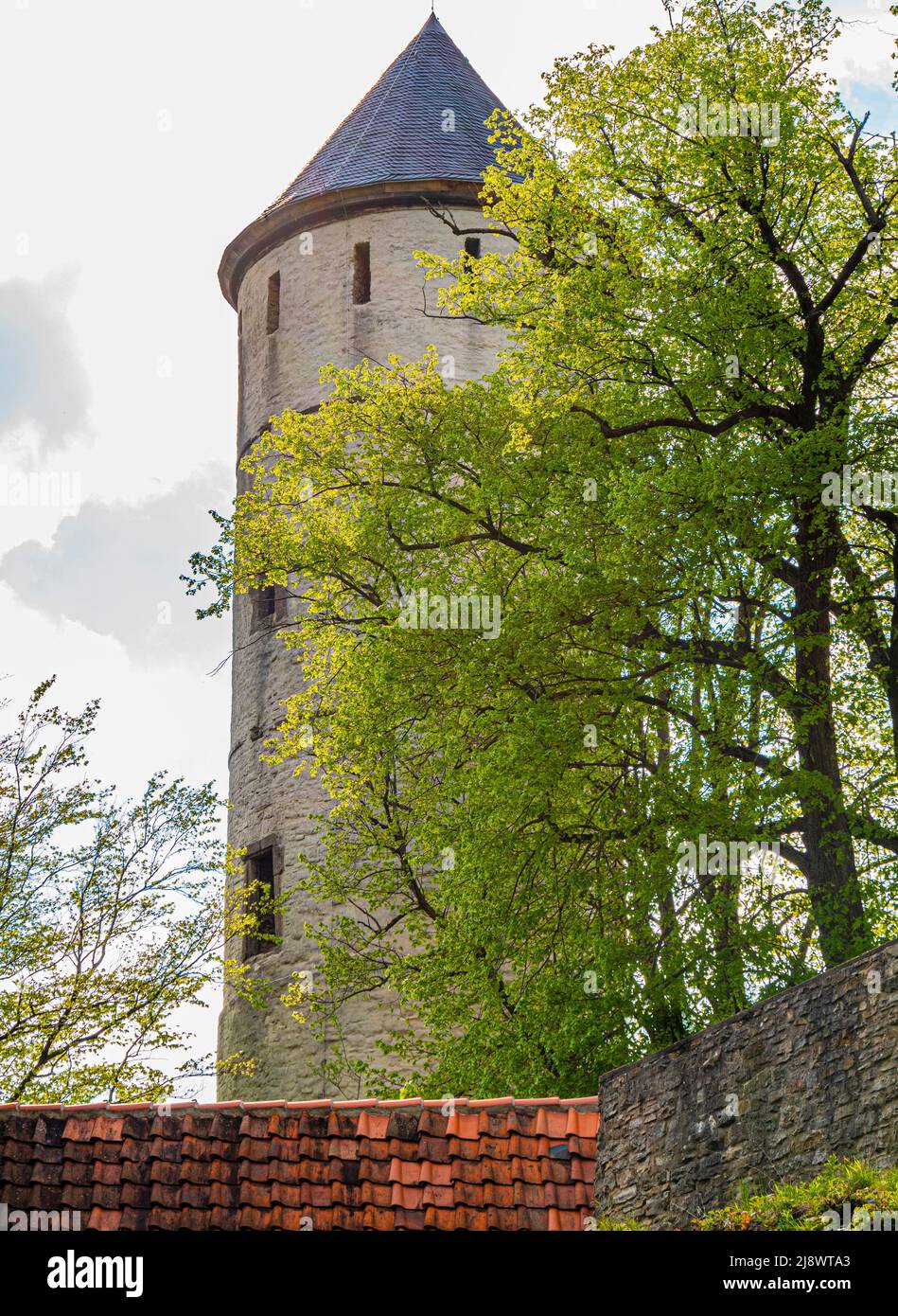 Tower of a medieval castle, Plesse Burg, Goettingen Stock Photo