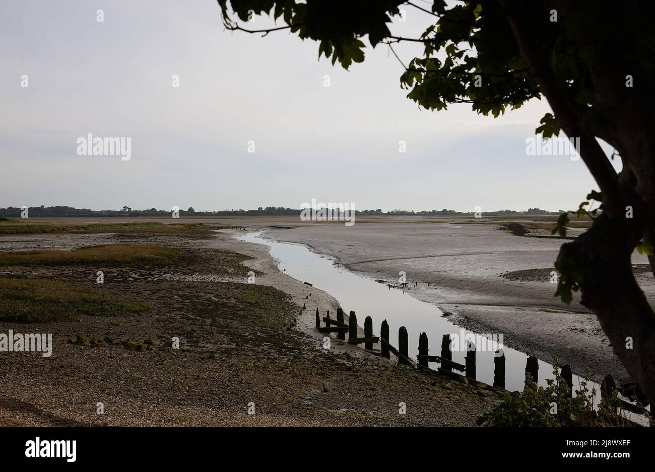 General view of low tide in Pagham harbour, seen with mudflats and one small stream. Stock Photo