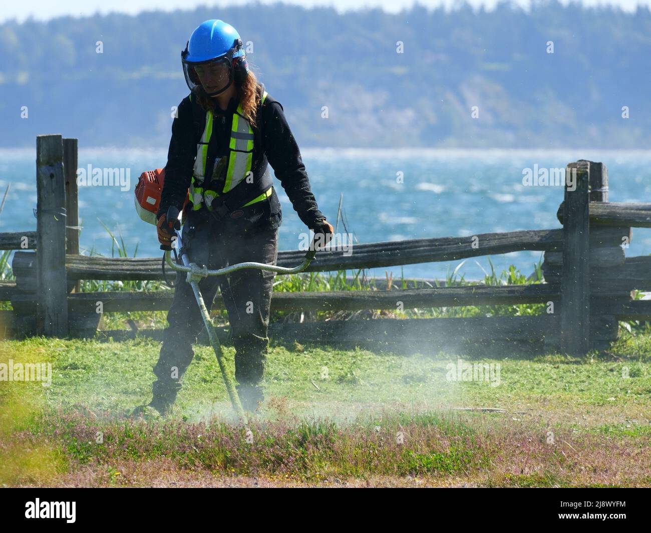 Park worker trimming grass Stock Photo