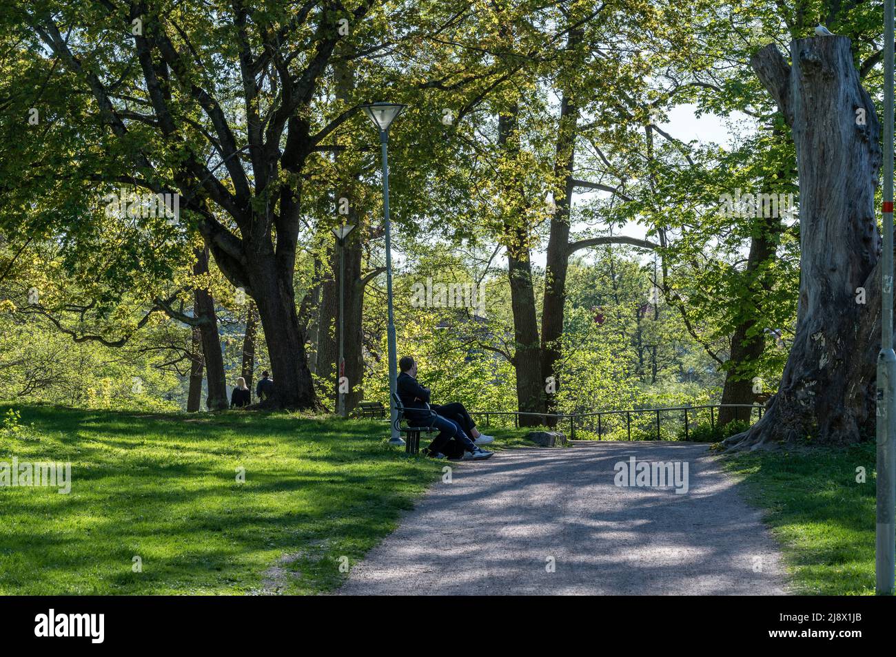 Curated visual reference: Visual Reference: Unrecogizable People Walk In City Park Abackarna During Spring In