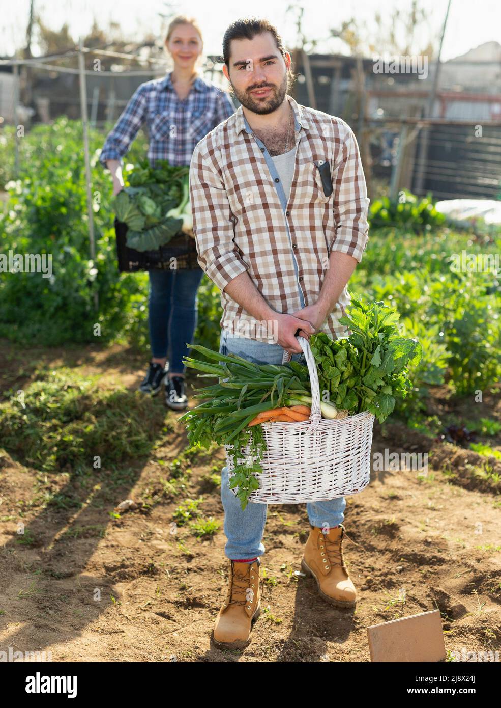 Man woman harvesting greens hi-res stock photography and images - Alamy