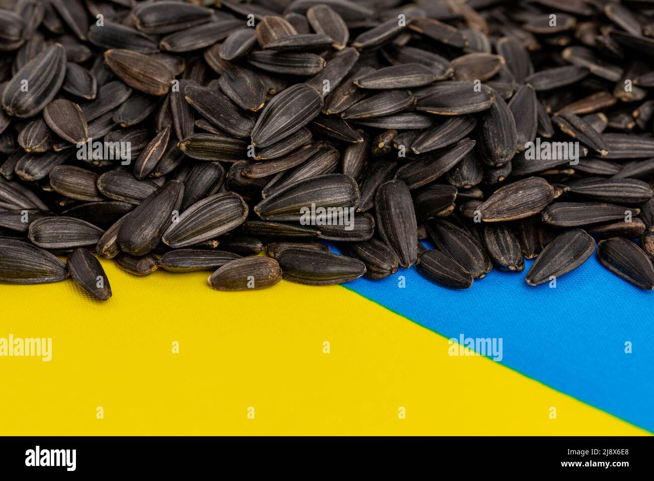 Ukraine flag and sunflower seeds. Sunflower oil exports, production and supply concept Stock Photo