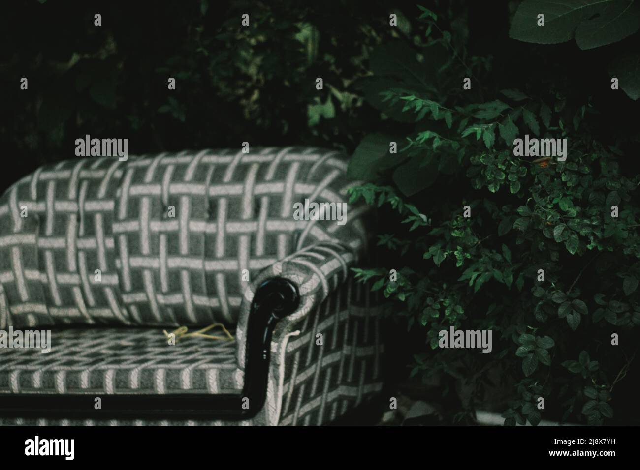 Vintage sofa in nature Stock Photo