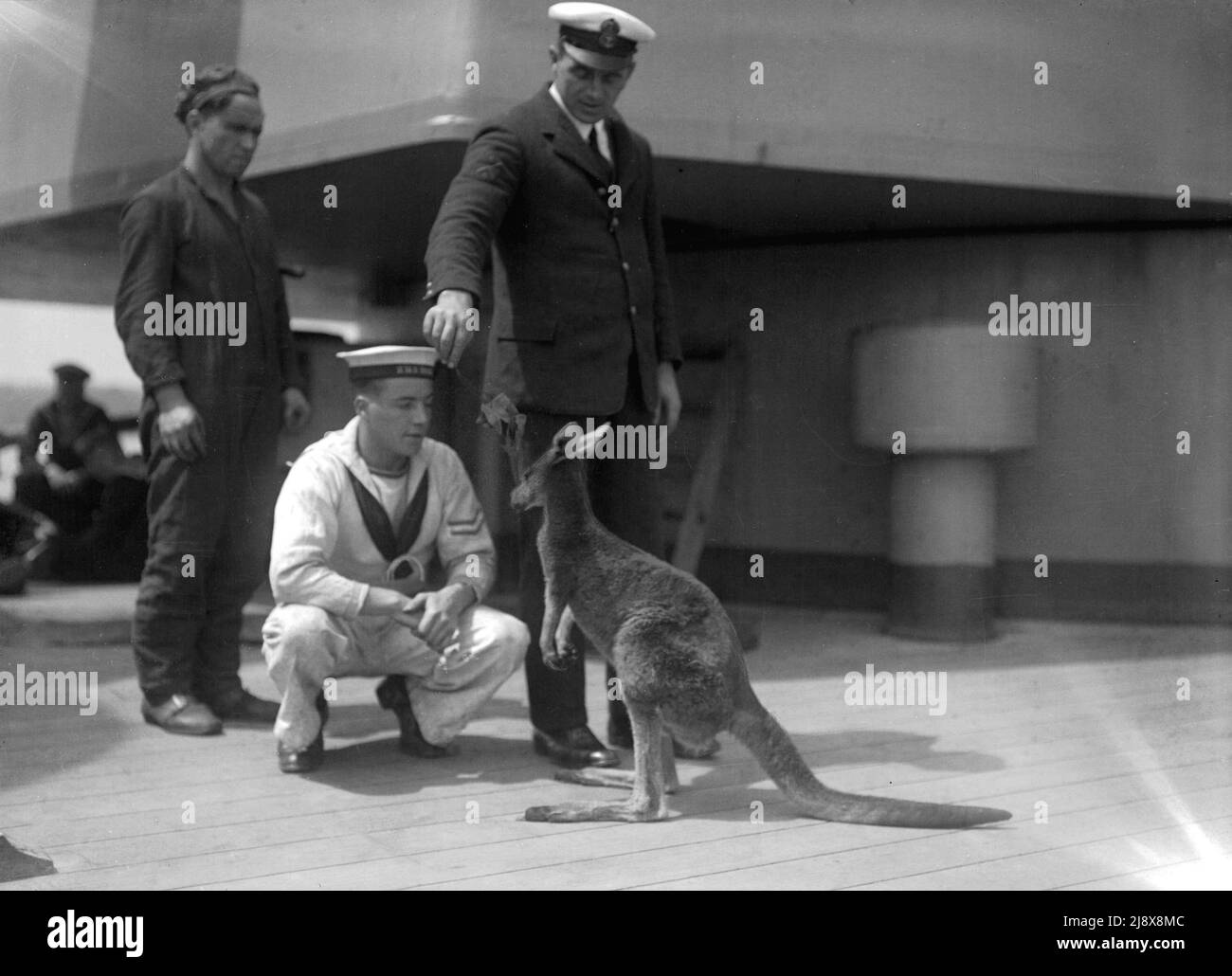 HMS Hood sailors with kangaroo mascot at Vancouver  ca.  1924 Stock Photo