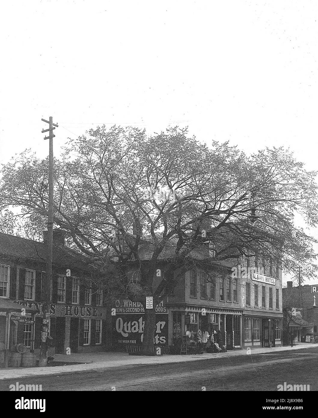 Front St. Belleville, opposite Belle Theatre  The photo shows the Albion Hotel, on the west side of Front Street, Belleville, Ontario (360 Front Street), later the Belvedere. Sign on tree reads Arbour Day 1840. The Hastings House Hotel (350 Front Street) is on the left. The building between the two hotels is a second hand store and a barber's shop. There is an advertisement for Quaker Oats on its south side  ca.  1900 Stock Photo